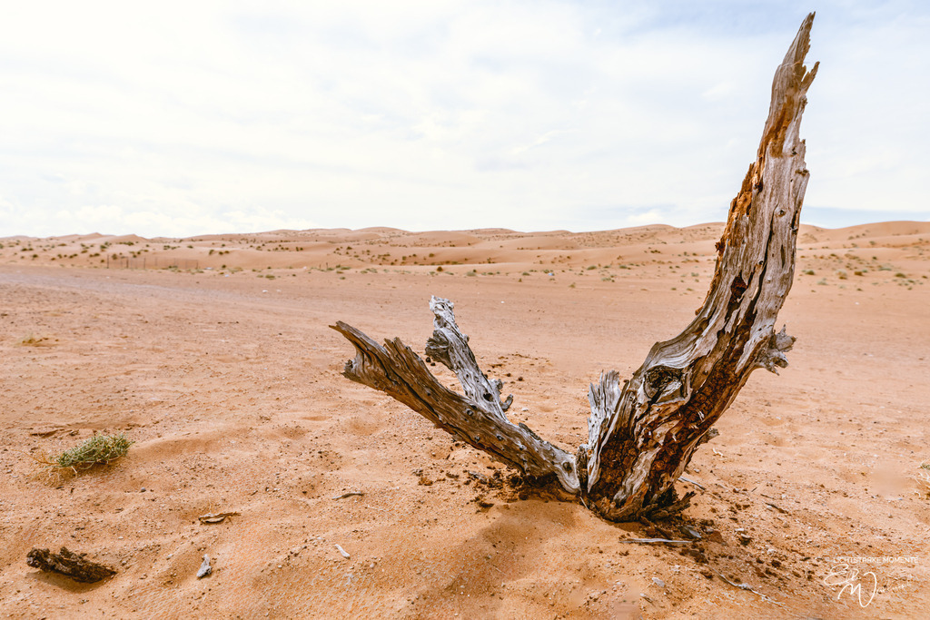 Beduinencamp bei Al Salam Desert Camp, Al Qabil, Bidiyya, Oman | Herzlich willkommen auf meiner Seite! Ich bin Elke Wallnisch, Deine Fotografin für lichtstarke Momente. Der Name steht für alles, was mich mit der Fotografie verbindet: Das Licht und seine machtvolle Wirkung auf eine Situation oder unsere Stimmung - Realisiert mit Pictrs.com