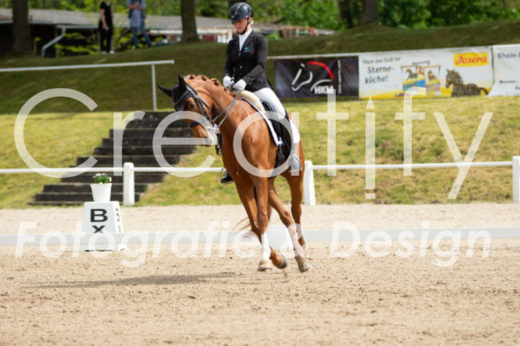 IMG_6816 | Creatify Fotografie