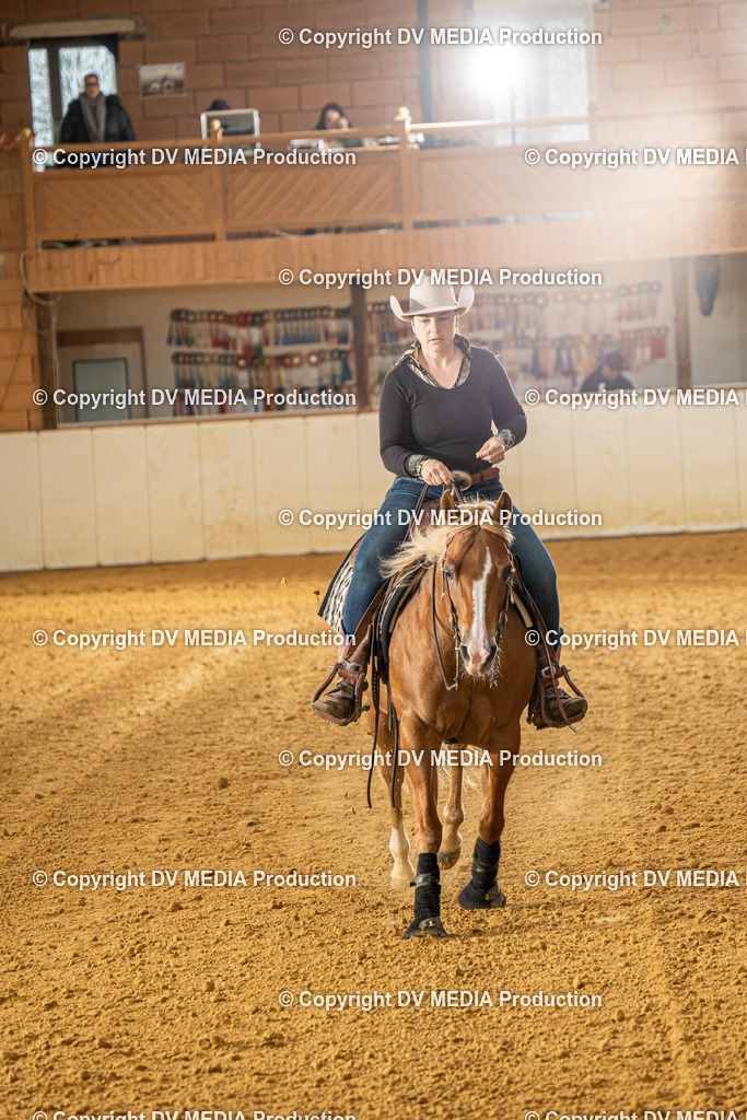 MIT00618 | dv-media-shop - Realisiert mit Pictrs.com