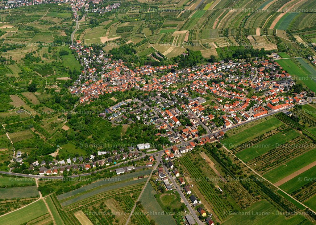 3134218-Wackernheim | Wackernheim