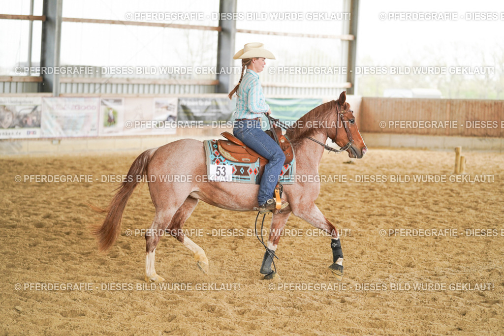 DSC05713 | Pferdegrafie