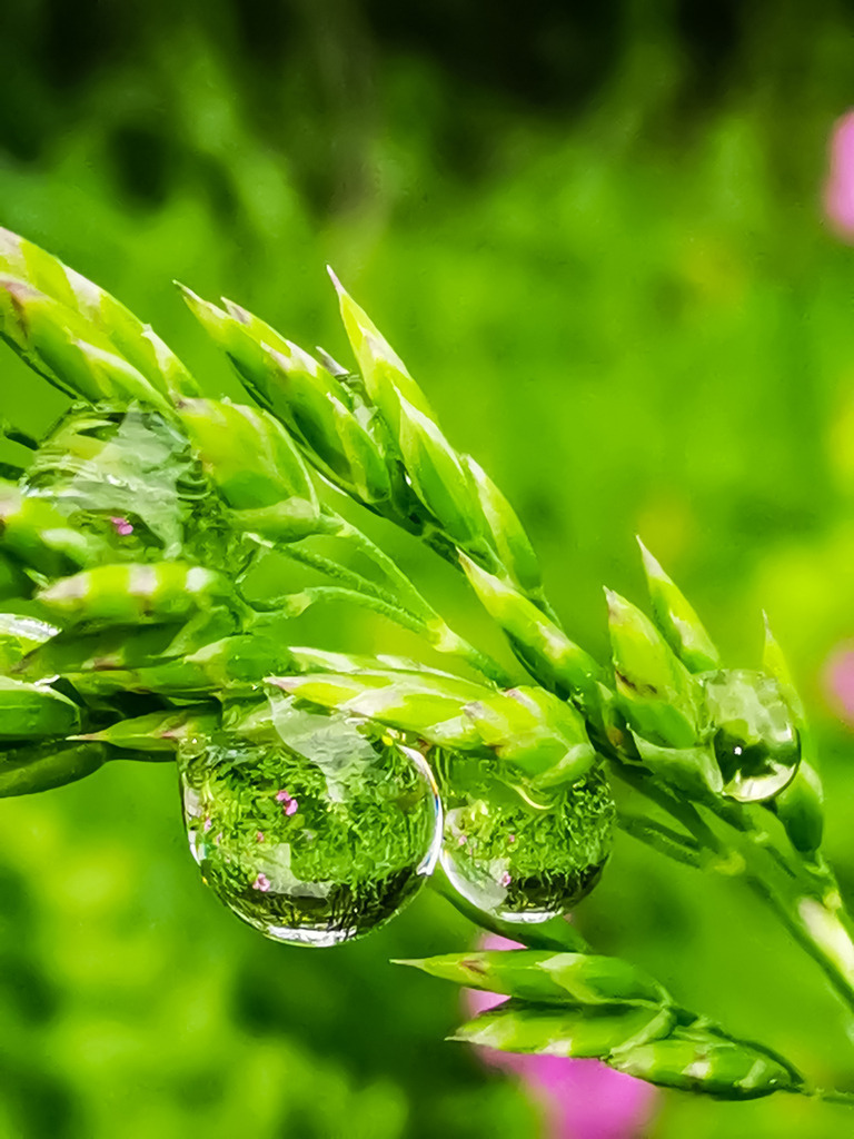 PSX_20230525_231140 | mtkfoto_ - Realisiert mit Pictrs.com