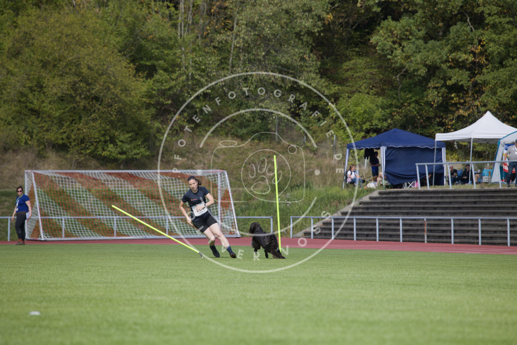 0L8A3386 | Hundefotografie, Tierfotograf, Pfotenfotografie, Fotoshooting Hund, Hunde Portrait, Hundesport, Hundeportraits, Heideshooting, Hunde, Sportfotograf, Hundefotograf, Turnierhundsport, THS,  - Realisiert mit Pictrs.com