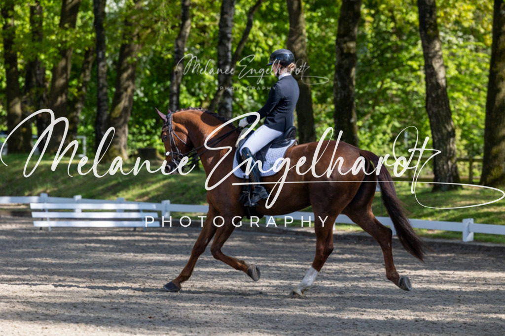 7I8A6175 | melanie-engelhardt-photography - Realisiert mit Pictrs.com