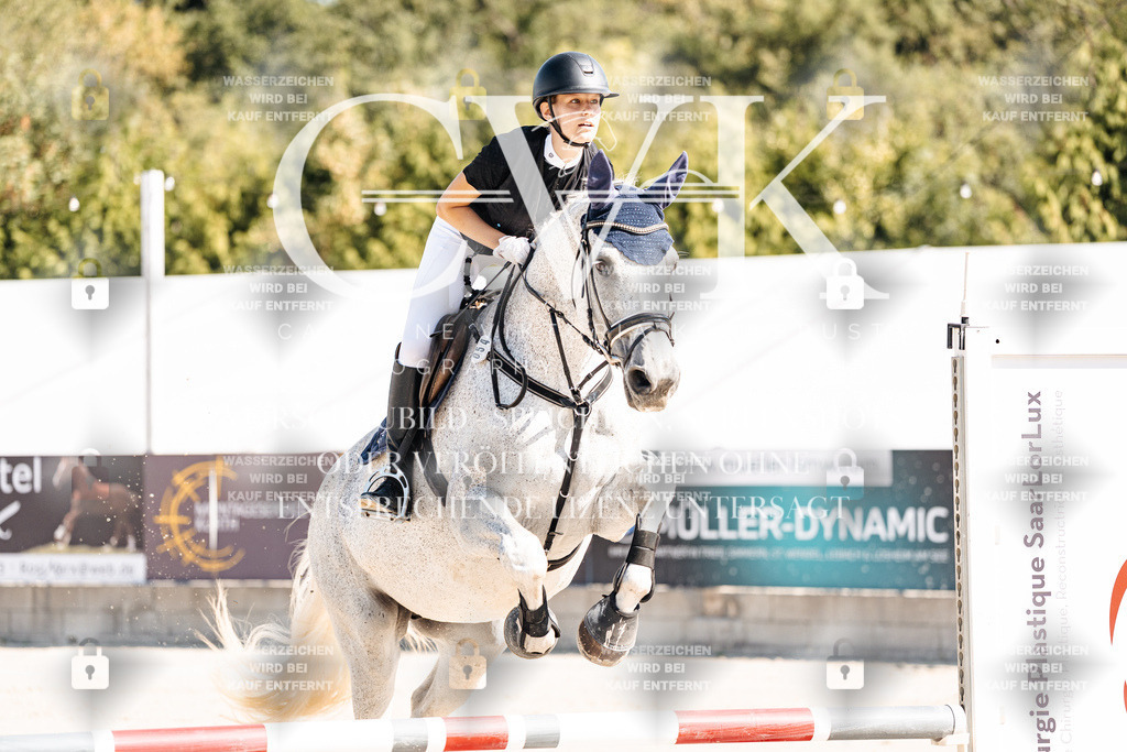 CK905107 | Turnierfotografie Pferdefotografie Trier Rheinland-Pfalz Pferdesport Reitsport Tierfotografie Sportfotografie Pferdevideo Pferdevideografie Equestrianvideography equestrianphotography  - Realisiert mit Pictrs.com