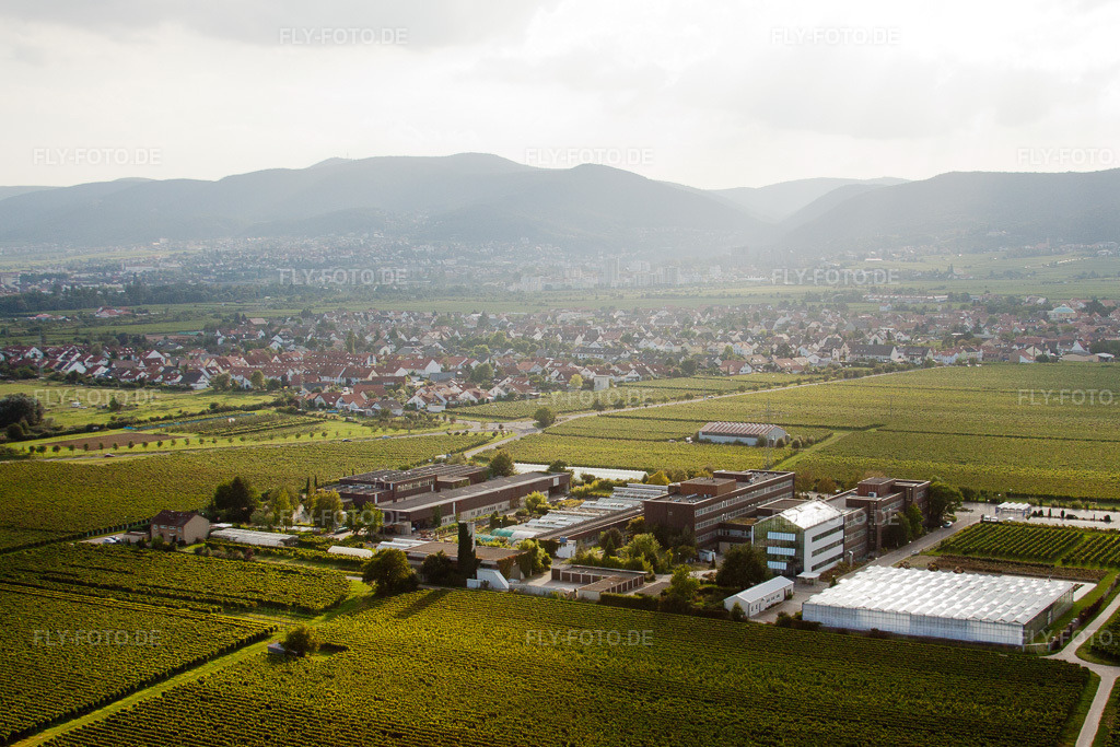 Luftbild: RLP Agroscience im Ortsteil Mußbach in Neustadt im Bundesland Rheinland-Pfalz in Deutschland. Foto: IMG_33030.jpg vom 04.09.2010 durch Werner Riehm/FLY-FOTO.de
