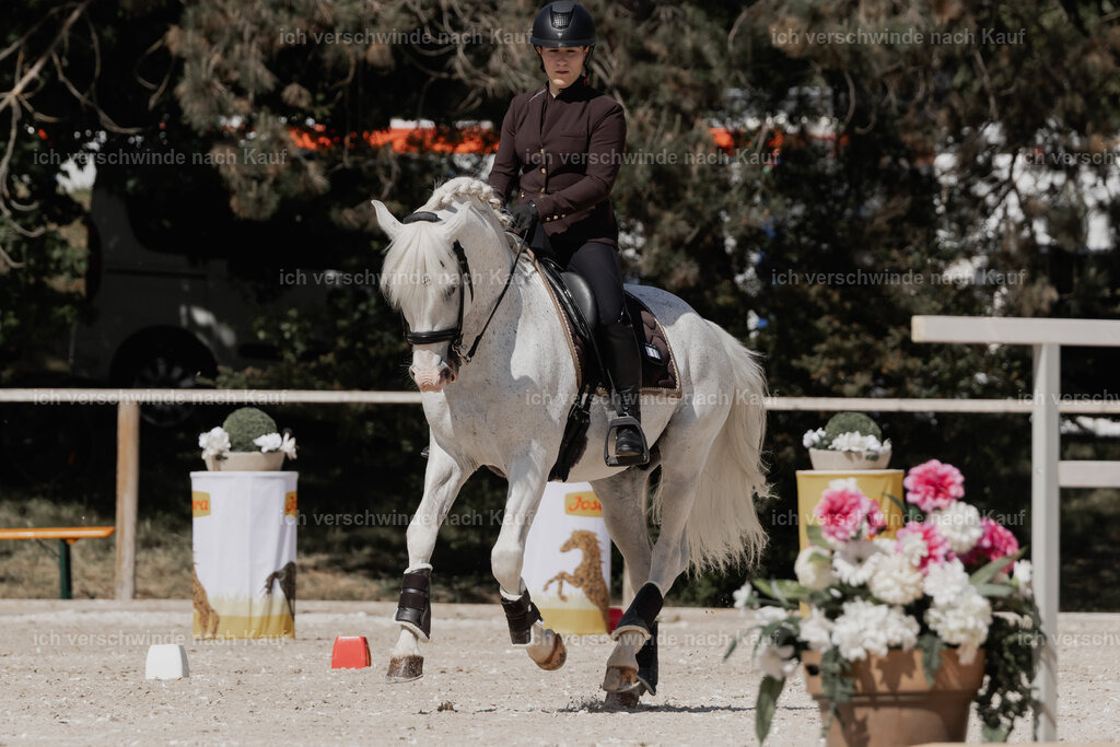 WE_ST_Stoib_318_PI2025_957 | Pferd International München 2025