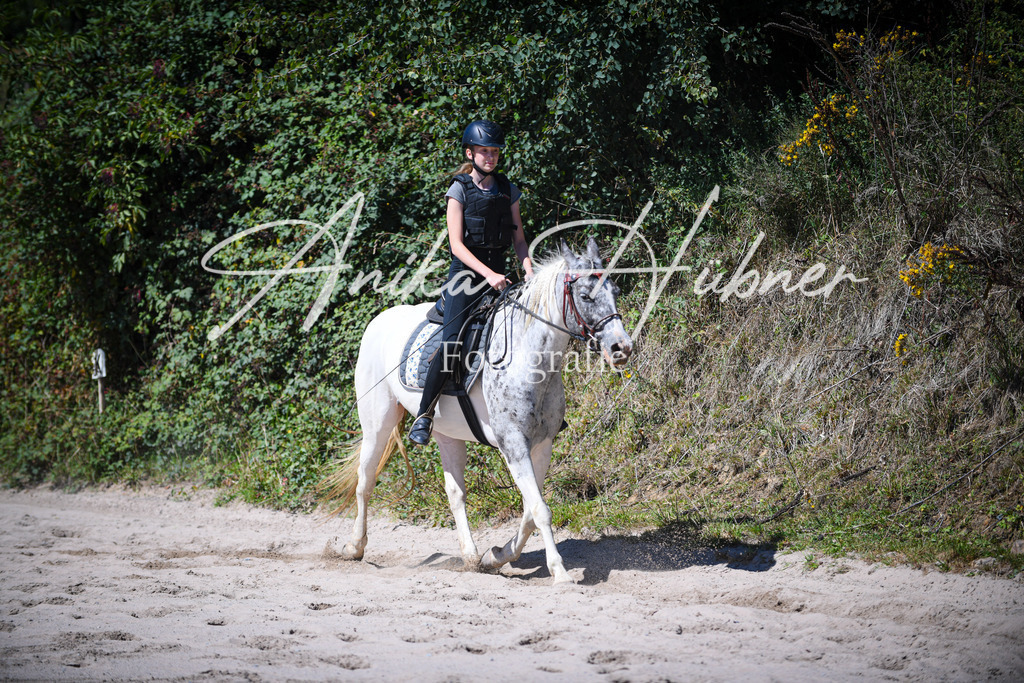 DSC_1018 | anikahuebner - Realisiert mit Pictrs.com