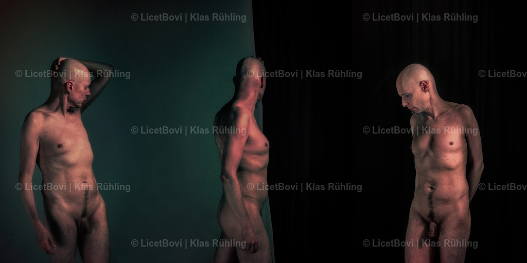 Untitled | Edited digital photographs; 2019Recommended material: Wood Printing - Realisiert mit Pictrs.com