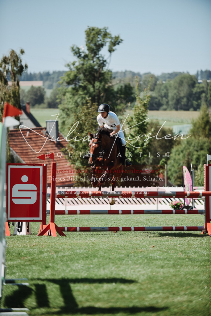 DSC_3157 | Pferde- und Turnierfotografie in Westsachsen. Pferdeportraits, Auftragszeichnungen und intuitive Kunst.