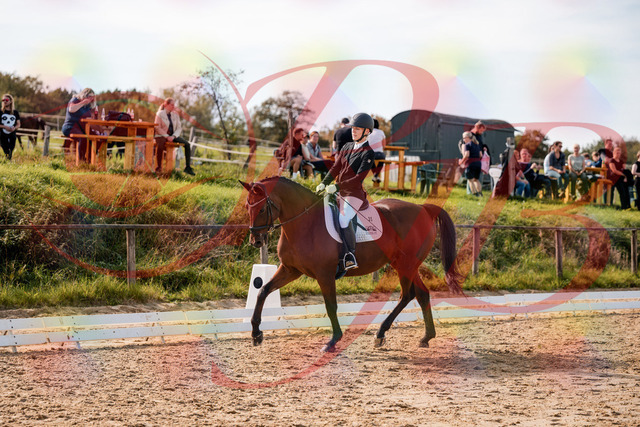 2026_10_03_Siefer-Hof_131003_Z63_72169472 | Professionelle Reitsport-, Turnier- und Eventfotografie von Robert Broda. Galerien mit ausgewählten und bearbeiteten Bildern direkt online ansehen und bestellen.