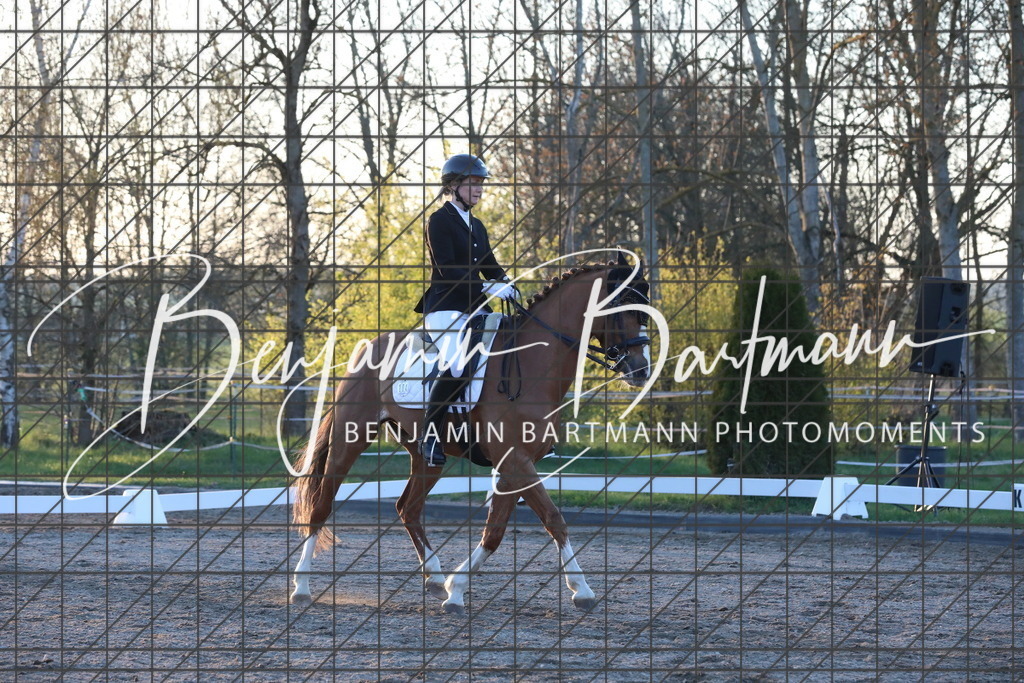 AZ2A7277 | Benjamin Bartmann Photomoments