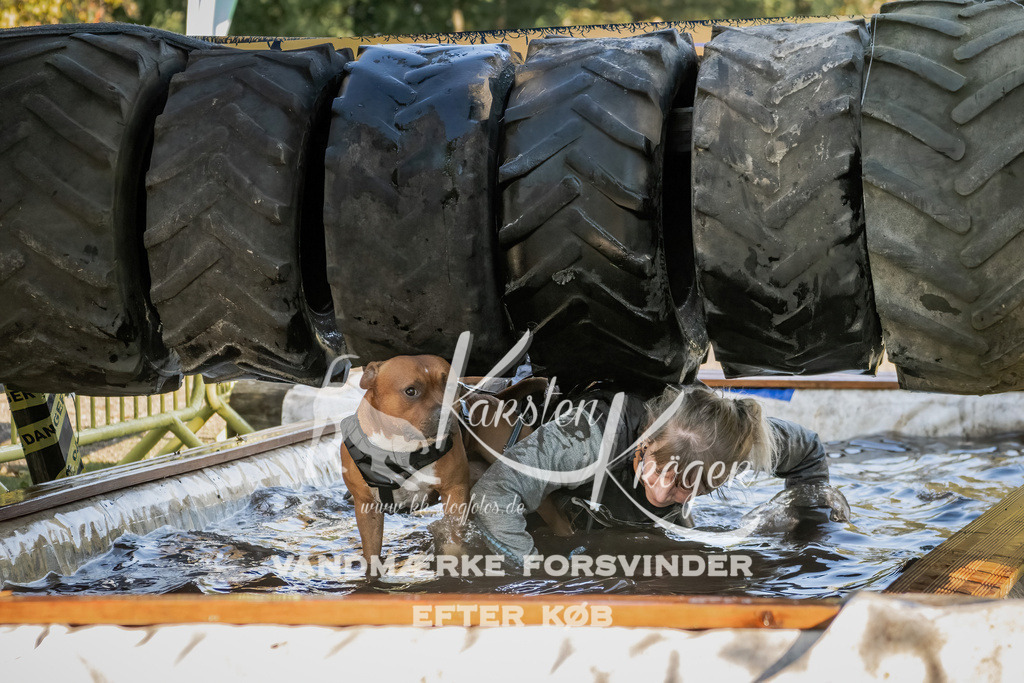 0950_ZZ92005 | kk-dogfotos