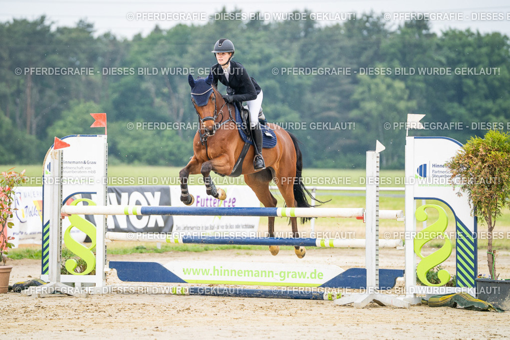 DSC09625 | Pferdegrafie