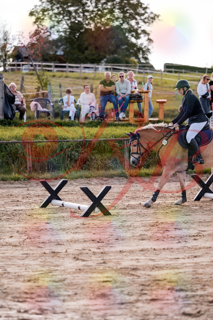 2026_10_03_Siefer-Hof_145301_Z81_32305307 | Professionelle Reitsport-, Turnier- und Eventfotografie von Robert Broda. Galerien mit ausgewählten und bearbeiteten Bildern direkt online ansehen und bestellen.
