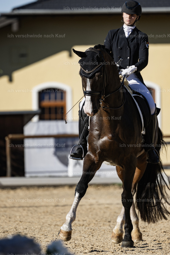 FHC2026_P09_4_18799 | Fichtenhof Classics 2026 – Grand Prix de Dressage - VOLTAIRE Design Preis, Reitanlage Fichtenhof, Sch ftlarn