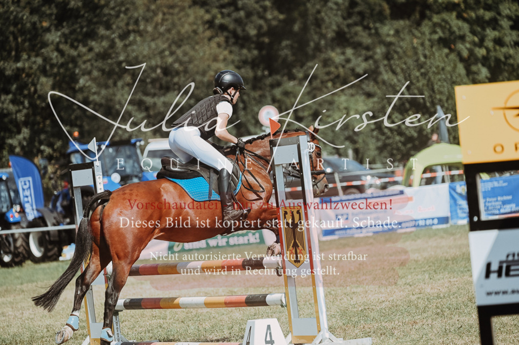 DSC_9971 | Pferde- und Turnierfotografie in Westsachsen. Pferdeportraits, Auftragszeichnungen und intuitive Kunst.
