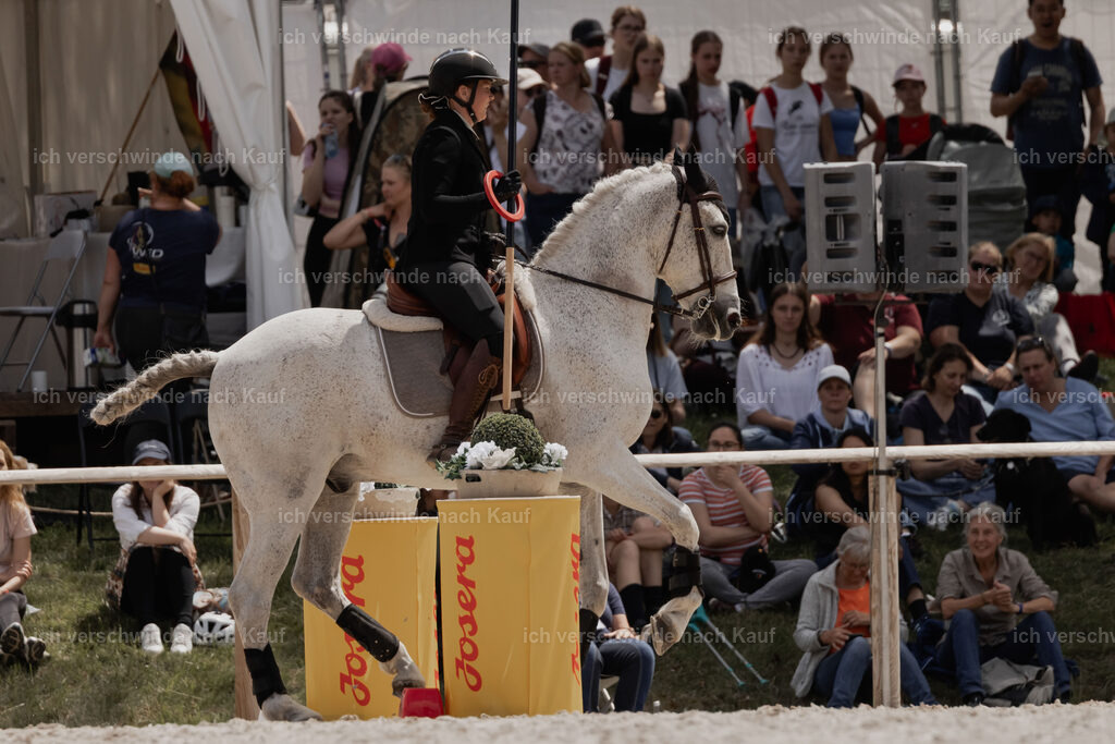 WE_ST_Stoib_312_PI2025_1085 | Pferd International München 2025
