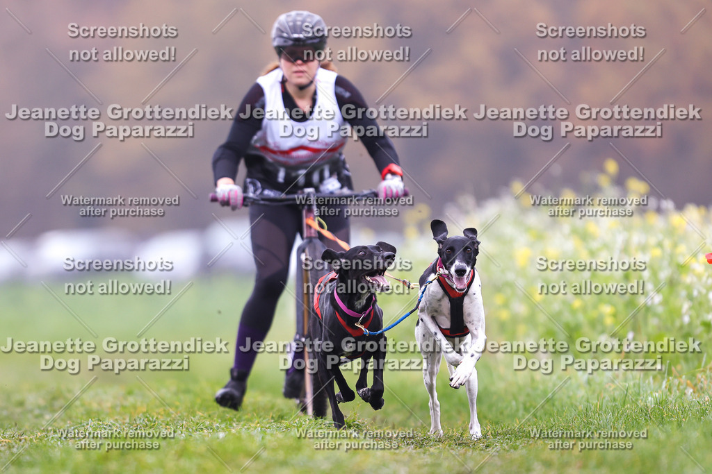Dog Paparazzi - Visbeck 25 -85 | Dog Paparazzi Jeanette Grottendiek Fotografie & Videografie - Realisiert mit Pictrs.com
