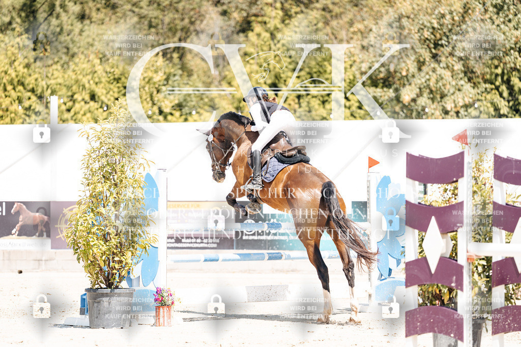 CK900343 | Turnierfotografie Pferdefotografie Trier Rheinland-Pfalz Pferdesport Reitsport Tierfotografie Sportfotografie Pferdevideo Pferdevideografie Equestrianvideography equestrianphotography  - Realisiert mit Pictrs.com