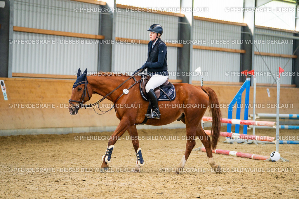 DSC00801 | Pferdegrafie