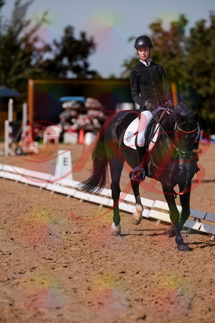 2026_10_03_Siefer-Hof_115802_Z81_99832125 | Professionelle Reitsport-, Turnier- und Eventfotografie von Robert Broda. Galerien mit ausgewählten und bearbeiteten Bildern direkt online ansehen und bestellen.