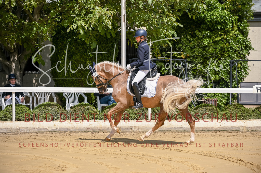 Schugtsche-Aluta25-48.Reitpferfdeprf.-38 | Schugtsche Fotografie - Realisiert mit Pictrs.com