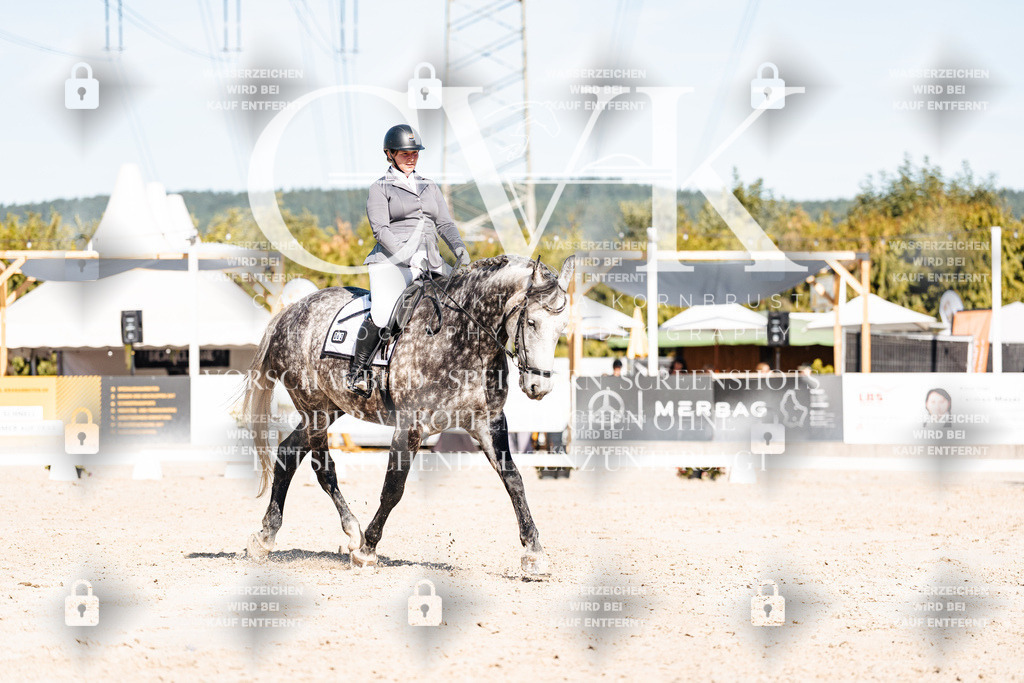CK908313 | Turnierfotografie Pferdefotografie Trier Rheinland-Pfalz Pferdesport Reitsport Tierfotografie Sportfotografie Pferdevideo Pferdevideografie Equestrianvideography equestrianphotography  - Realisiert mit Pictrs.com