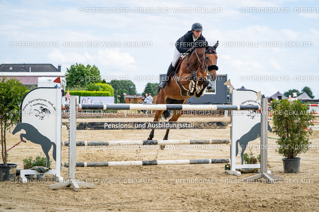 DSC06916 | Pferdegrafie