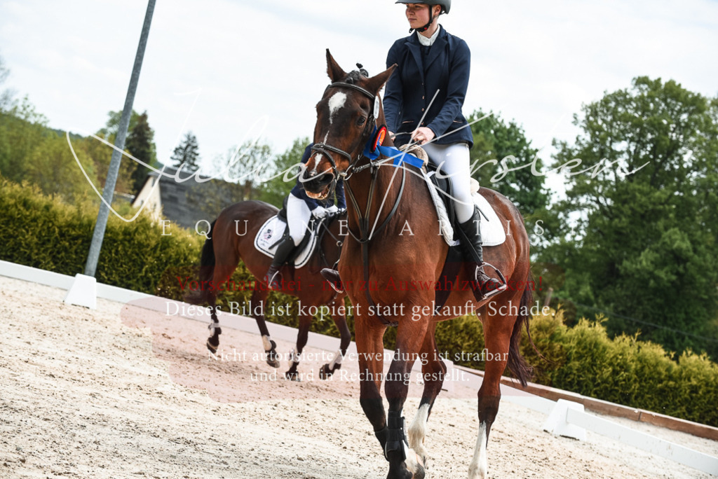 20230518_JK-Röhrsdorf-10-867 | Pferde- und Turnierfotografie in Westsachsen. Pferdeportraits, Auftragszeichnungen und intuitive Kunst.