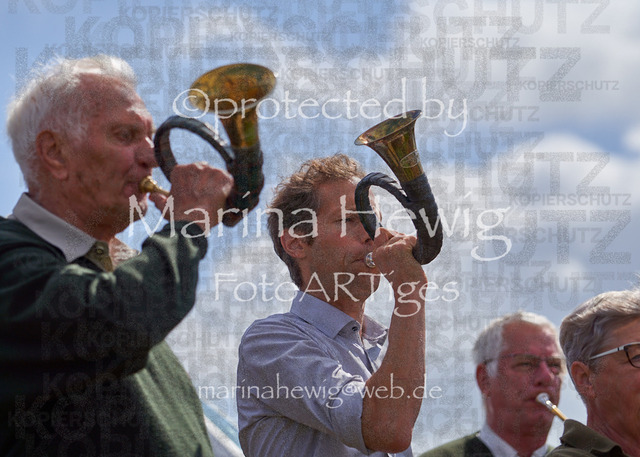 _MCH8124_Marina Hewig | Fotografie, FotoArt, PferdesportArt, Pferdesportfotografie, Landschaftsfotografie, Reisefotografie, Reise, Pferde - Realisiert mit Pictrs.com