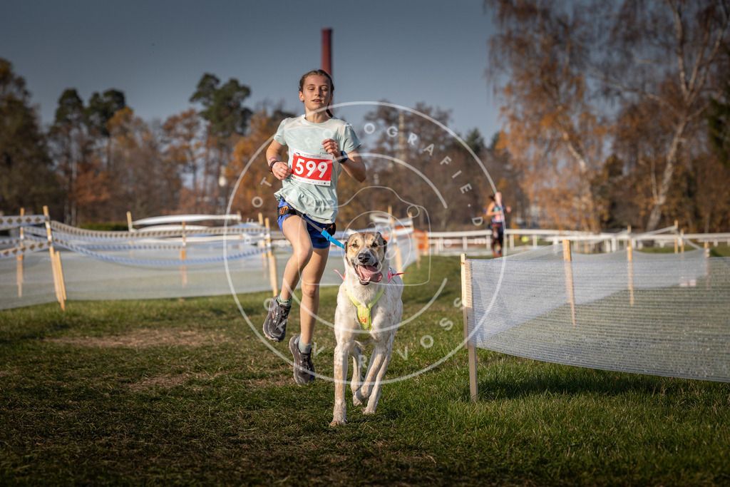CaniXpix_0L8A0035 | Hundefotografie, Tierfotograf, Pfotenfotografie, Fotoshooting Hund, Hunde Portrait, Hundesport, Hundeportraits, Heideshooting, Hunde, Sportfotograf, Hundefotograf, Turnierhundsport, THS,  - Realisiert mit Pictrs.com