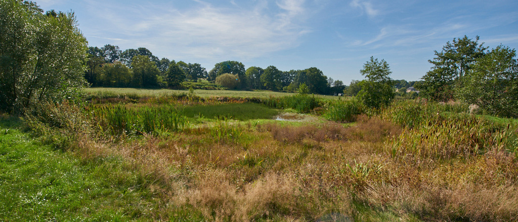 Standgewässer nordwestlich von Hartenstein 03 | Bedeutsame Landschaften Deutschlands - Realisiert mit Pictrs.com