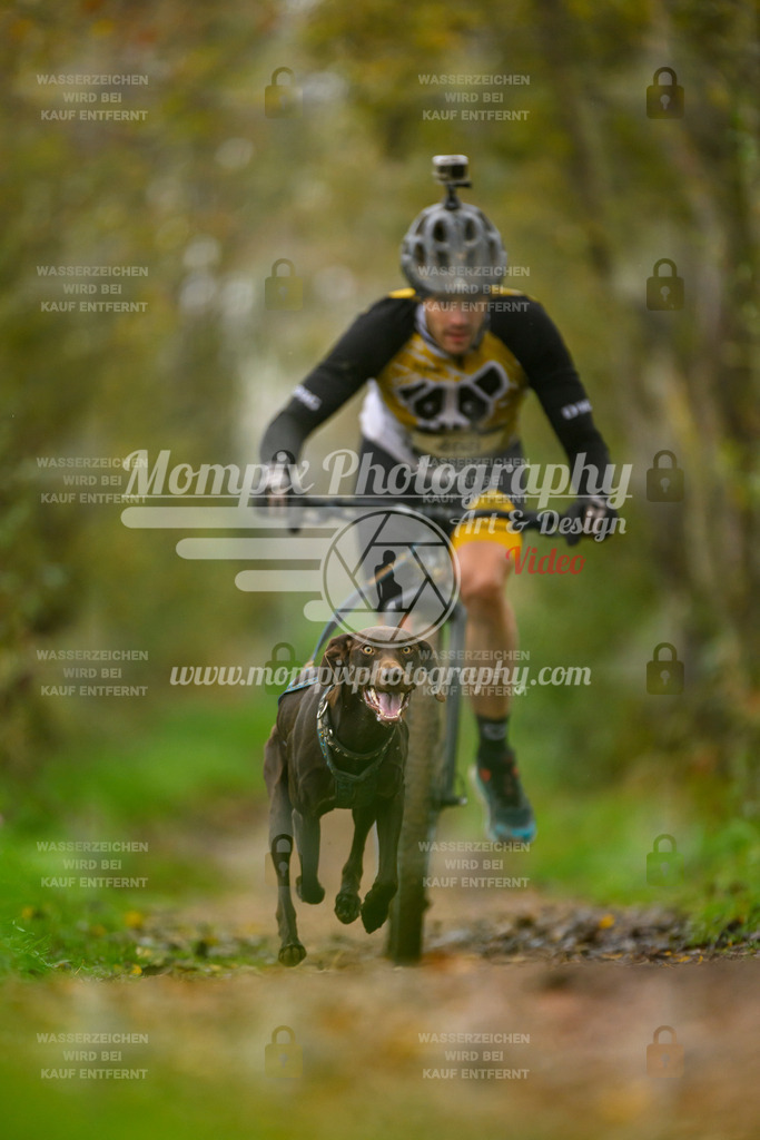 MompixPhotography_20TSB_E6_DS1-11 | PayLife