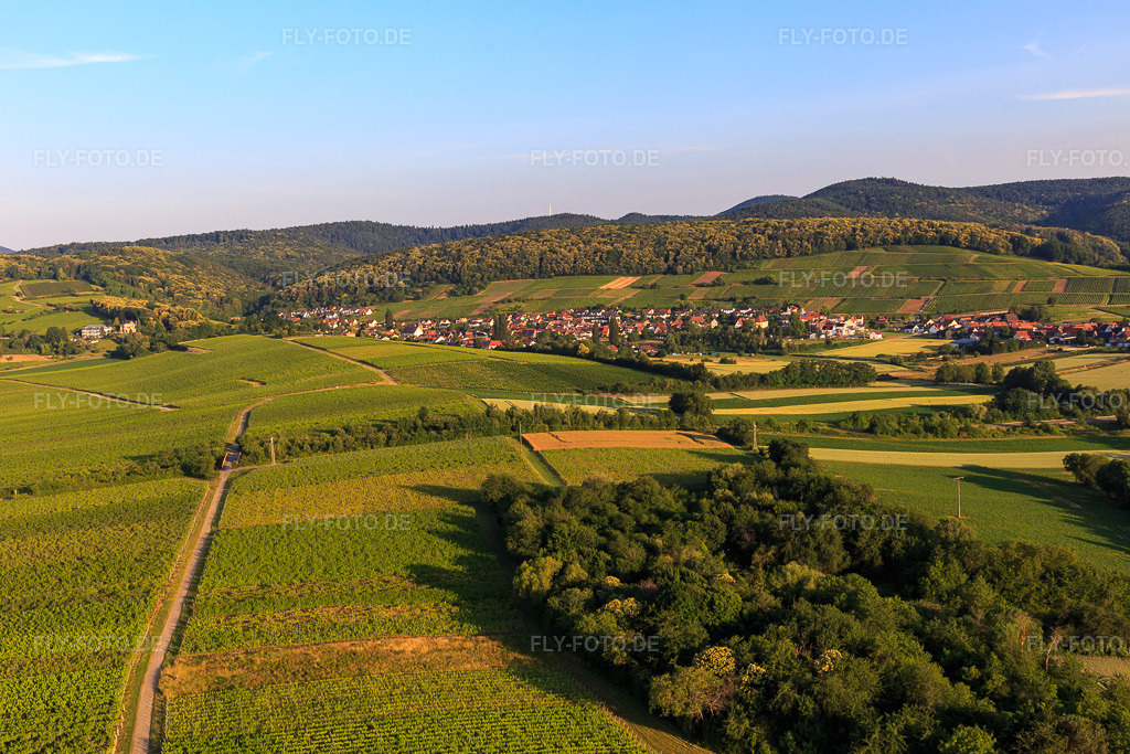 Luftbild: Weinort von Osten im Ortsteil Pleisweiler in Pleisweiler-Oberhofen im Bundesland Rheinland-Pfalz in Deutschland. Foto: IMG_148546.jpg vom 18.06.2025 durch Werner Riehm/FLY-FOTO.de