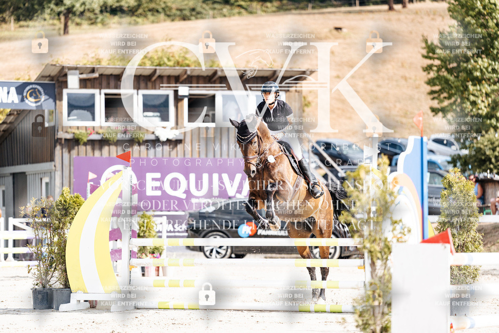 CK909078 | Turnierfotografie Pferdefotografie Trier Rheinland-Pfalz Pferdesport Reitsport Tierfotografie Sportfotografie Pferdevideo Pferdevideografie Equestrianvideography equestrianphotography  - Realisiert mit Pictrs.com