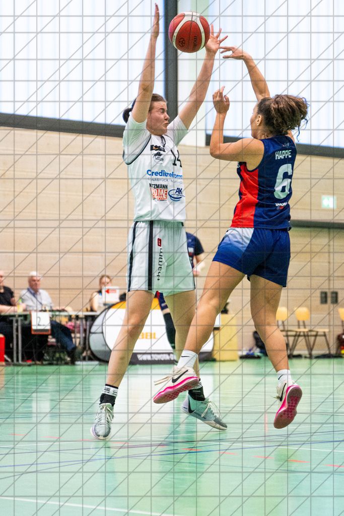 2. DBBL Nord 24/25 | 27.10.2024 | BBC OS vs. TSVE Bielefeld | 2. DBBL Nord 24/25 | 27.10.2024 | BBC OS vs. TSVE Bielefeld - - - - - CREDIT, www.bullenfotos.de, Martin König, Hörner Weg 40, D-49078 Osnabrück, +4917663732967, Nutzung und Weitergabe nur zu den vereinbarten Zwecken. Presseanfragen an Urheber. Alle Rechte beim Urheber. - - - - - - Realisiert mit Pictrs.com