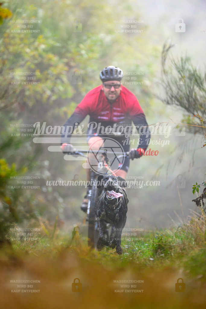 MompixPhotography_20TSB_E4_Bike-34 | PayLife