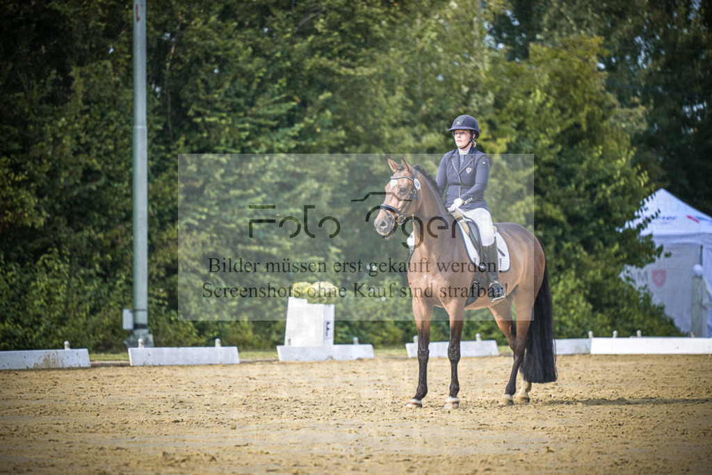DOS_8848 | Entdecke hochwertige Reitturnierfotos von Foto Oger. Professionell, emotional und authentisch – jetzt Lieblingsmomente im Shop bestellen.Deutschlandweite Turnierfotografie. - Realisiert mit Pictrs.com