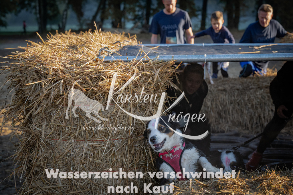 0905_ZZ91201 | kk-dogfotos