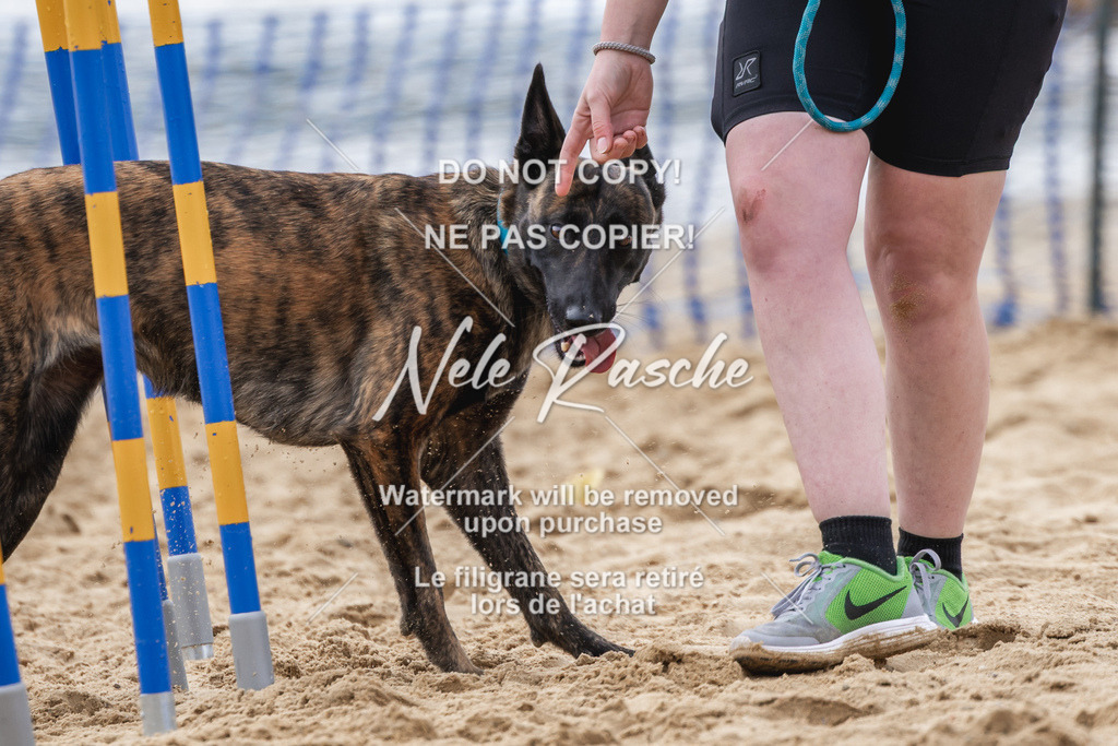 nelerasche_BuHu2026_So1530-Ende_104 | nelerasche