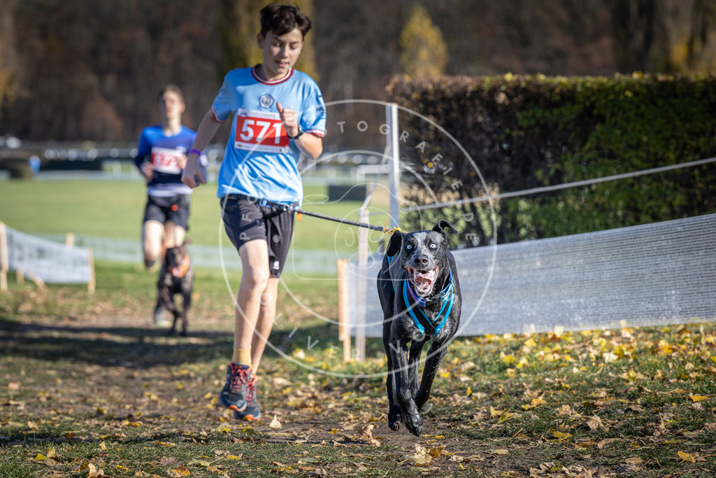 CaniXpix_DV3A8879 | Hundefotografie, Tierfotograf, Pfotenfotografie, Fotoshooting Hund, Hunde Portrait, Hundesport, Hundeportraits, Heideshooting, Hunde, Sportfotograf, Hundefotograf, Turnierhundsport, THS,  - Realisiert mit Pictrs.com