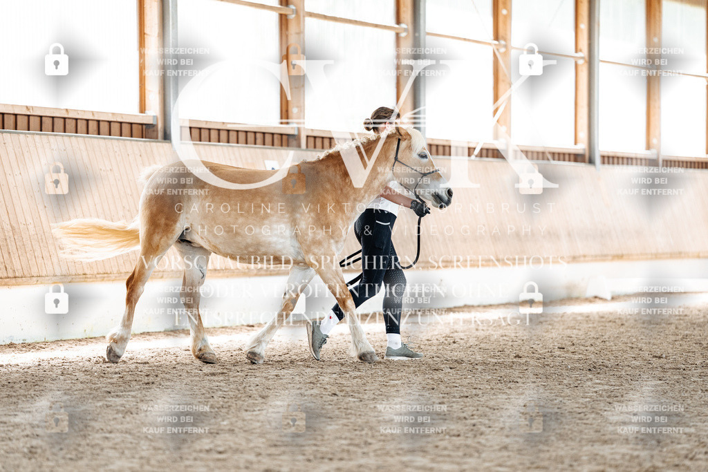 CK907312 | Turnierfotografie Pferdefotografie Trier Rheinland-Pfalz Pferdesport Reitsport Tierfotografie Sportfotografie Pferdevideo Pferdevideografie Equestrianvideography equestrianphotography  - Realisiert mit Pictrs.com