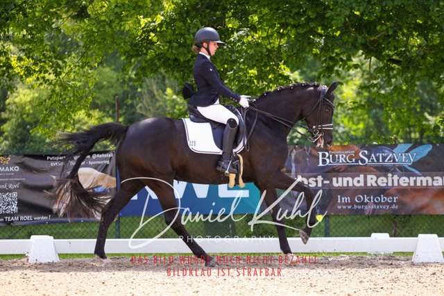 DKP40985 | Turnierfotos kaufen im Webshop von Daniel Kuhl Photography – entdecke professionelle Reitsportfotos aus Turnieren & Events. Hochwertige Turnierbilder online bestellen & sichern. Jetzt Fotos von Reitsportturnieren kaufen!