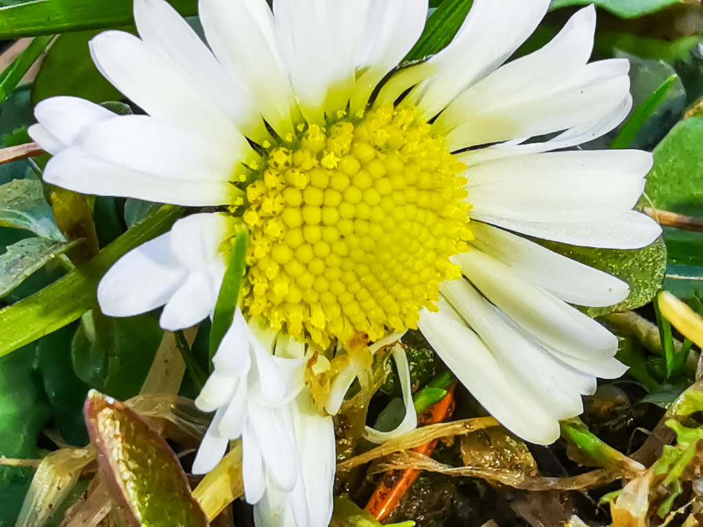 PSX_20230216_224522 | mtkfoto_ - Realisiert mit Pictrs.com