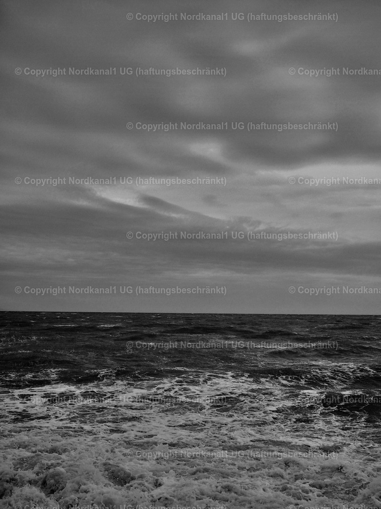 PA231989-1 | OLYMPUS DIGITAL CAMERA          - Realisiert mit Pictrs.com