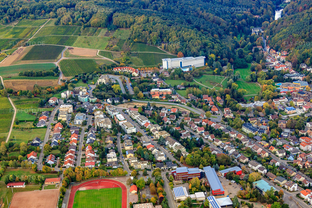 Luftbild: Wiesenstraße Weinstr in Bad Bergzabern im Bundesland Rheinland-Pfalz in Deutschland. Foto: IMG_22423.jpg vom 15.10.2009 durch Werner Riehm/FLY-FOTO.de