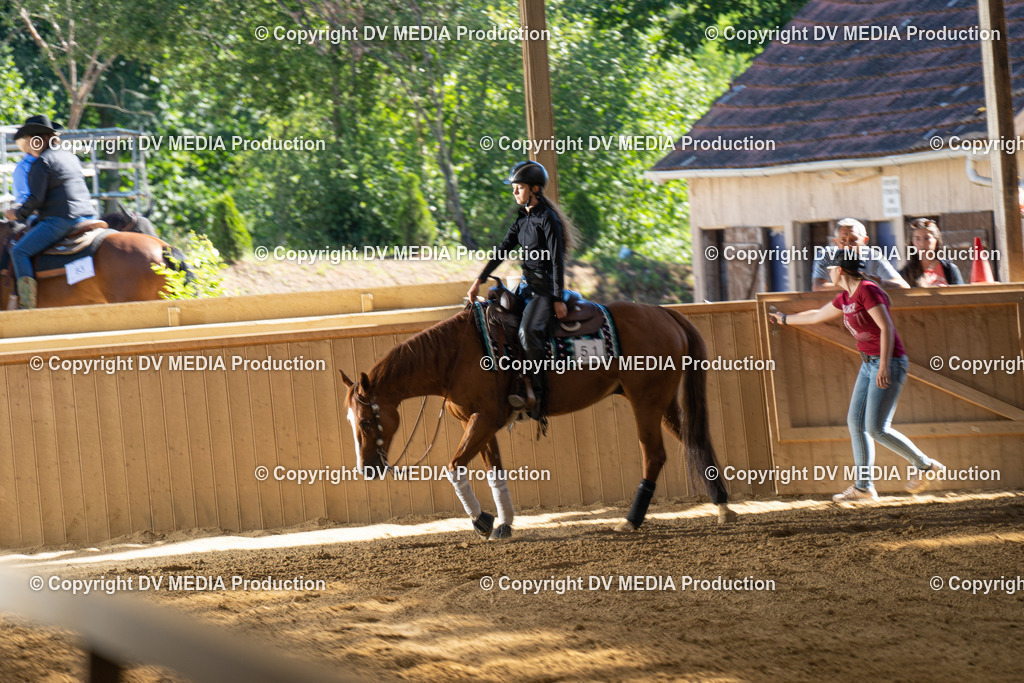 DSC00016 | dv-media-shop - Realisiert mit Pictrs.com