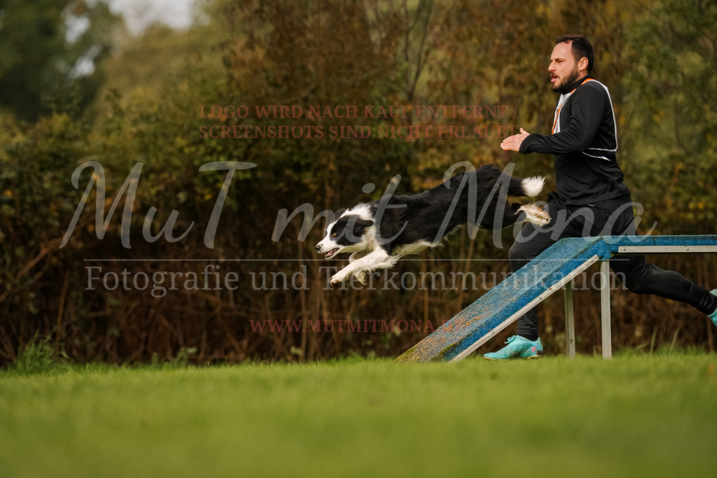 20251005_THS_Turnier-585 | MuT (Mensch und Tier) mit Mona - Fotografie und Tierkommunikation - Realisiert mit Pictrs.com