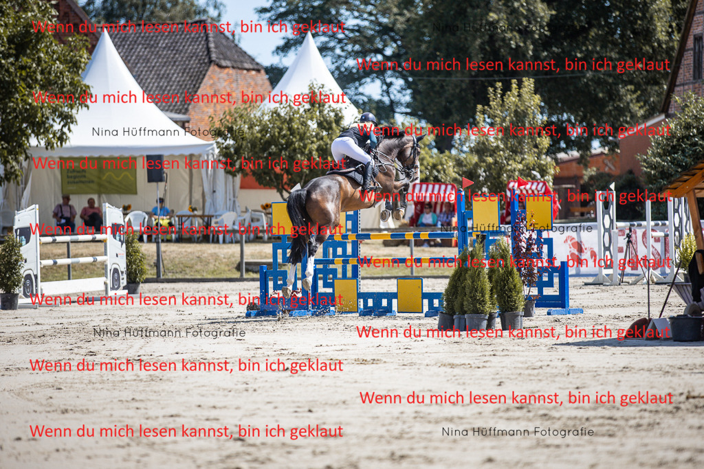 BK1A6617 | Turnierbilder Turnierfotos Nina Hüffmann Turnierfotografie Pferdefotografie Tierzeichnung Haustierzeichnung Pferdezeichnung Hundezeichnung Videograf  - Realisiert mit Pictrs.com